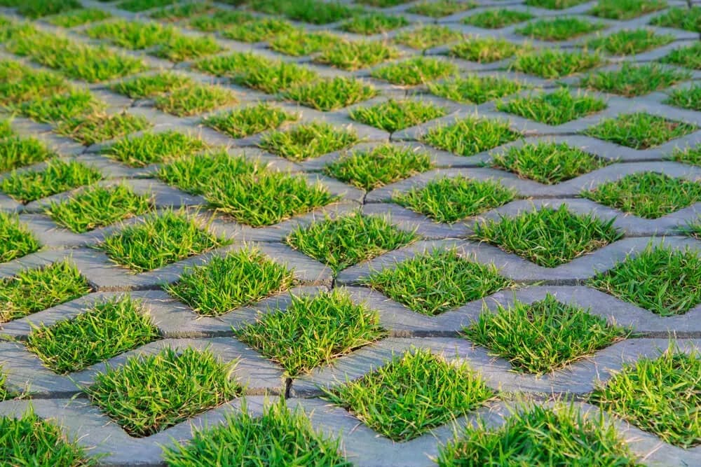 Jak zrobić podjazd z płyt ażurowych - uniknij najczęstszych błędów